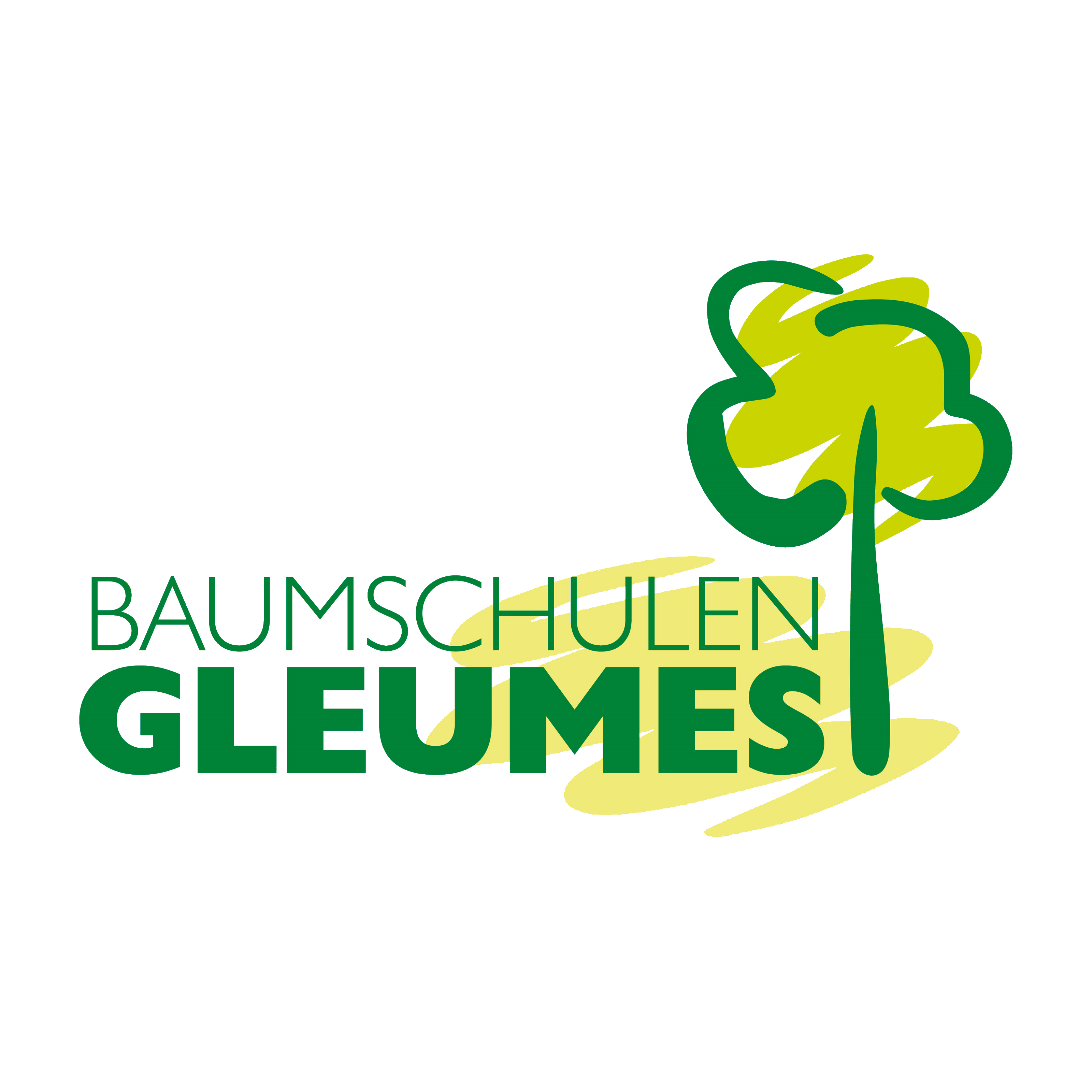 BGM Dortmund eG